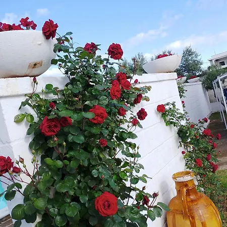 Maison d'hôtes La Dimora Di Nonna Giuliana *