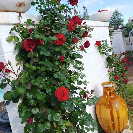 La Dimora Di Nonna Giuliana